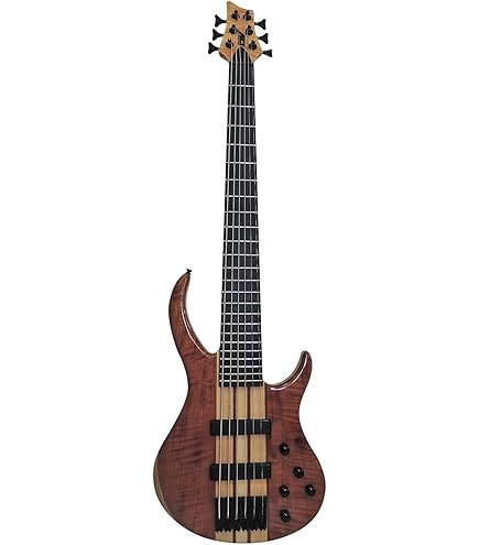 Amazon.com: IYV IBSY-700 Neck-through Sycamore top Multi-ply 7